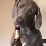 Larry Bauer - @larry.bauer23 - Instagram
