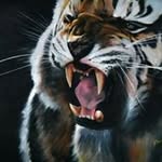 Larry Augustine - @larryaugustine - Instagram