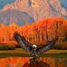 Larry Babbitt - Facebook