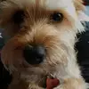 Larry Backs - @larrybacks - TikTok