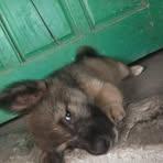Larry Barde - Facebook