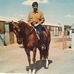 Larry Bailey Horse World - Facebook