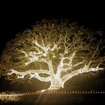 Larry baird - @larrybaird2 - Instagram