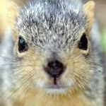 Larry Balch - @sparky2642 - Instagram