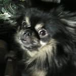 larry bales - @larybales - Instagram