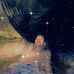 Larry Bardales Irarica - Facebook
