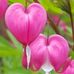 Larry D Barnwell - Facebook