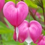 Larry D Barnwell - @barnwelllarry70 - Instagram