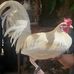 Larry Barraza - Facebook
