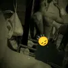. - @larry.barrera.nie2 - TikTok