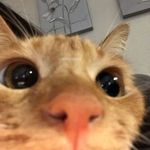 @larry._.barry - Instagram