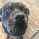 LARRY BARRY - @larrybarry7542 - Instagram