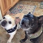Larry - @larry.beardslee - Instagram