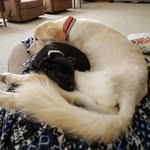 Larry Becker - @larrybecker - Instagram