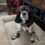Larry Becker - @larry.becker2 - Instagram