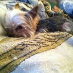 Larry Beecham - @larrybeecham - Instagram