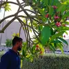 Larry Benavides - @larrybenavides_833 - TikTok