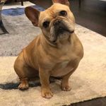 Larry Benz - @larrybenzz - Instagram