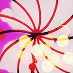 Larry Bernhart - @larrybernhart - Instagram