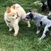 Larry Barnard - Facebook