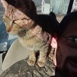 Larry Billman - @turbob87 - Instagram