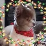 Larry Bills - @larry.bills.106 - Instagram