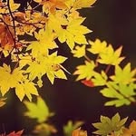 LarryBills - @larrybills6 - Instagram