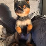 Larry Binnion - @larryjbinnion - Instagram