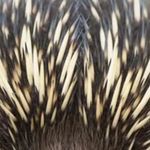 Larry Birt - @birtlarry - Instagram