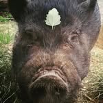 Larry - @_larry_blanchard_ - Instagram