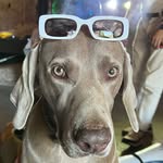 @larryblanchard35 - Instagram