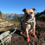 Larry Blattner - @larry_the_chug - Instagram