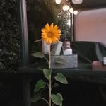 Larry - @larry_die_blume - Instagram