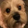 i like cleaning simulator - @larrybolls - TikTok