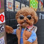 Larry Bob - @larry.bob.902 - Instagram