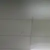 LARRY BOB - @larry.bob32 - TikTok