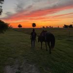 Larry Bob - @alexlair - Instagram