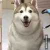 larrybob - @larrybob - TikTok