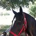 Larry Bockman - Facebook