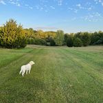 Larry Boettger - @larryboe - Instagram