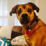 Larry Bones - @larrybones4 - Instagram