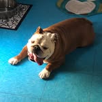 Larry Bones - @larrybones15 - Instagram