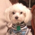 Larry Boykin - @larry_boykin - Instagram