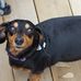 Larry Botts - Facebook