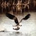 Larry Bouchard - Facebook