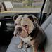 Larry Bowers - Facebook