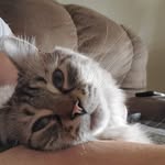 Larry Bowers - @larry_bowers810 - Instagram