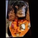 Larry Bowers - @larrybowers19 - Instagram
