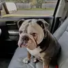 Larry Bowers - @larry.bowers0 - TikTok