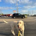 Larry Brackin - @larrybrackin - Instagram